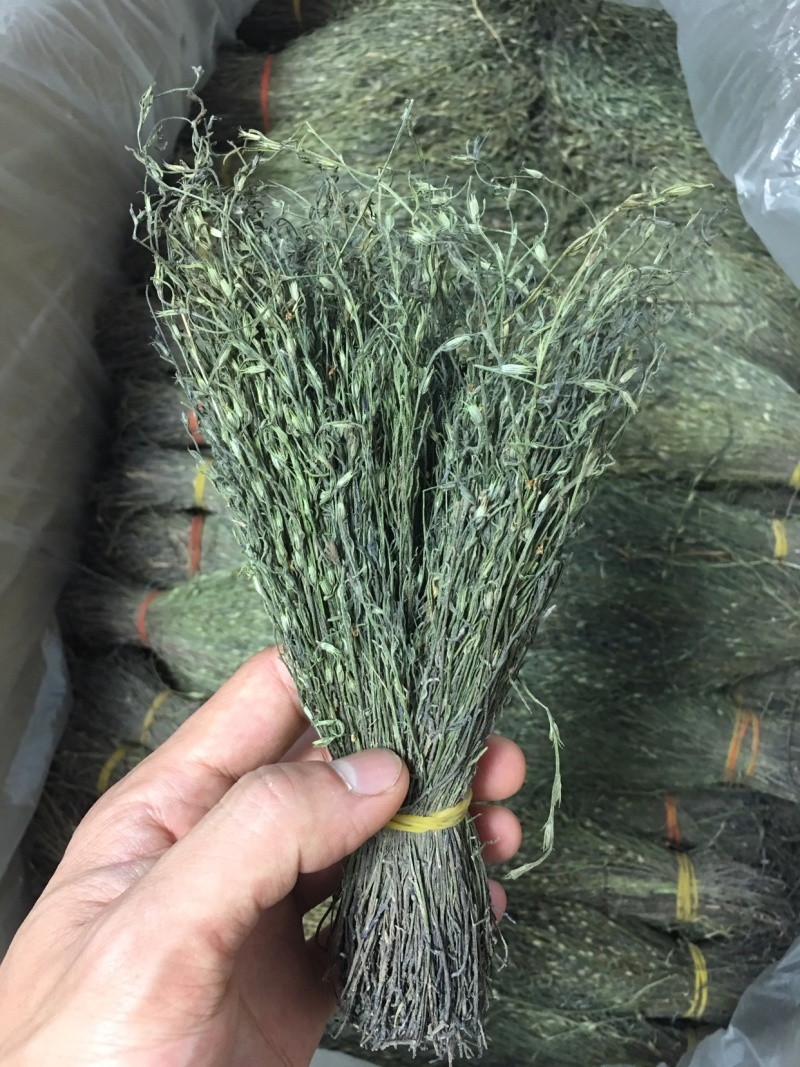 独脚金，精品，软支细脚，新货，大量有货，欢迎联系