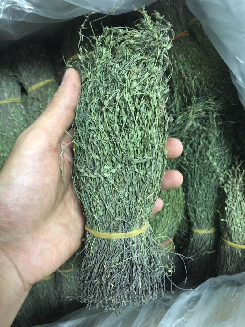 独脚金，精品，软支细脚，新货，大量有货，欢迎联系