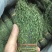 独脚金，精品，软支细脚，新货，大量有货，欢迎联系