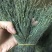 独脚金，精品，软支细脚，新货，大量有货，欢迎联系