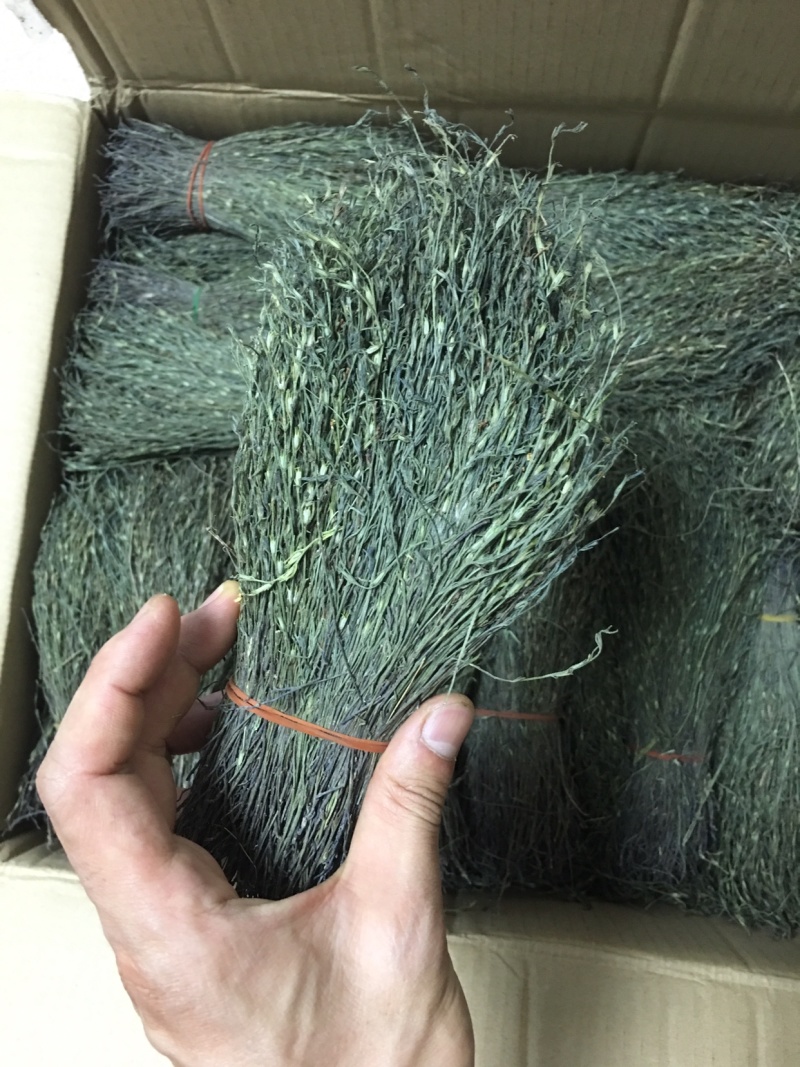 独脚金，精品，软支细脚，新货，大量有货，欢迎联系