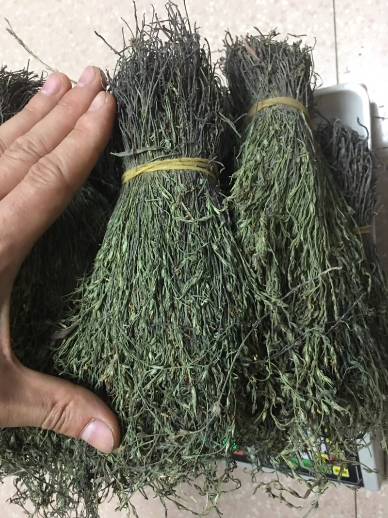 独脚金，精品，软支细脚，新货，大量有货，欢迎联系