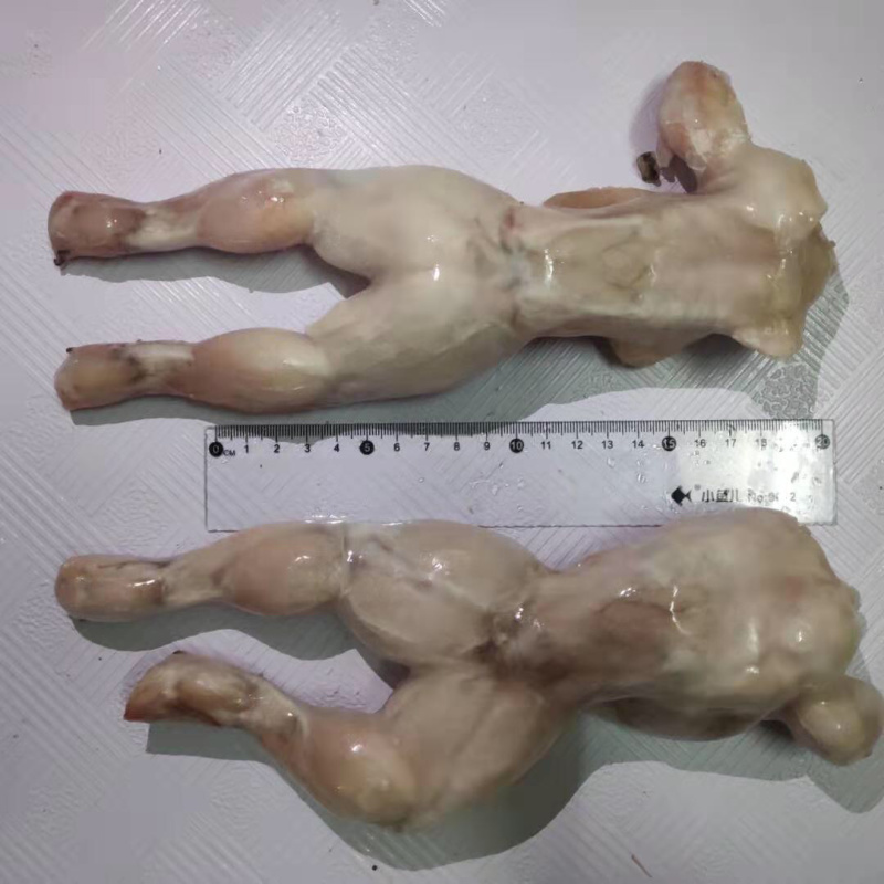 新鲜速冻牛蛙肉牛蛙腿田鸡青蛙肉大牛蛙净重约8斤一件