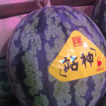 战神西瓜