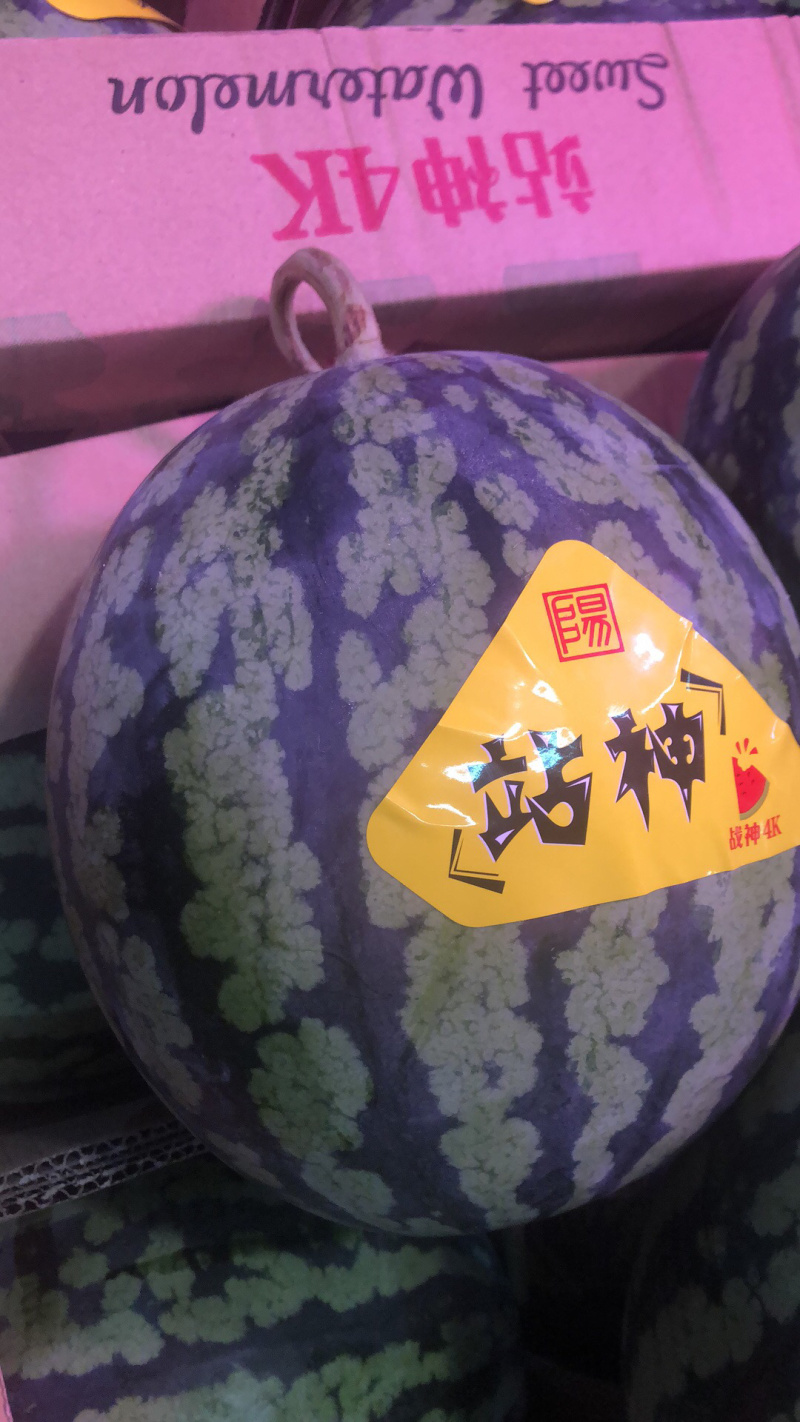 战神西瓜