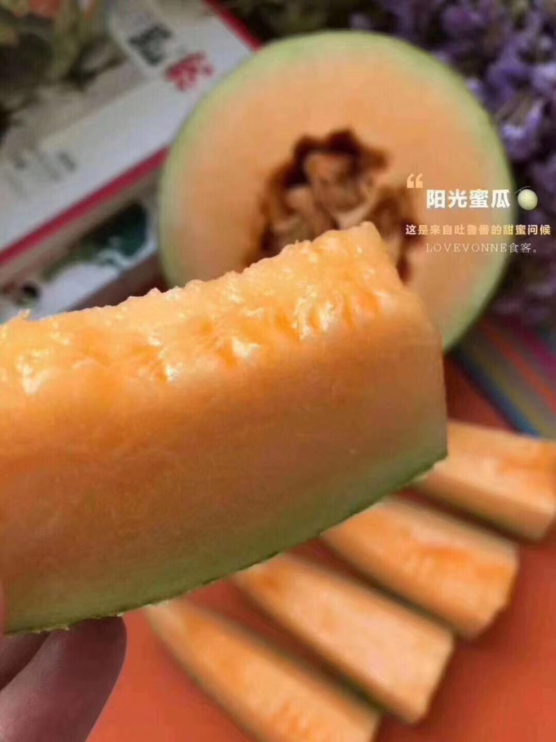 新疆西周蜜25号蜜瓜