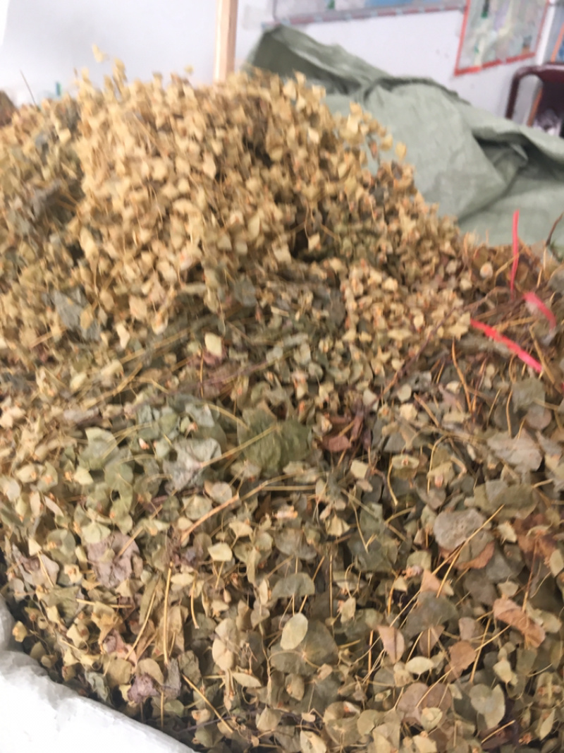 穿心草穿心草穿心草穿心草