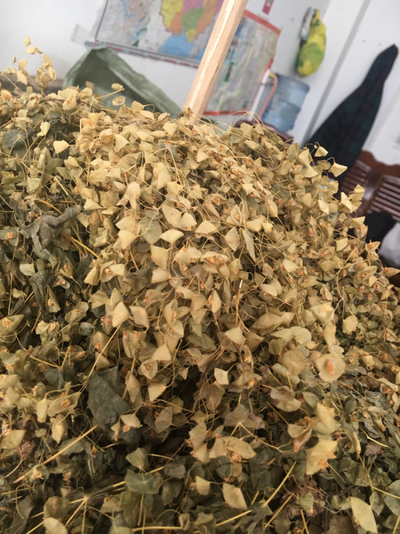 穿心草穿心草穿心草穿心草