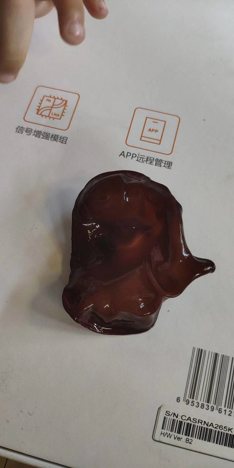 毛木耳三等