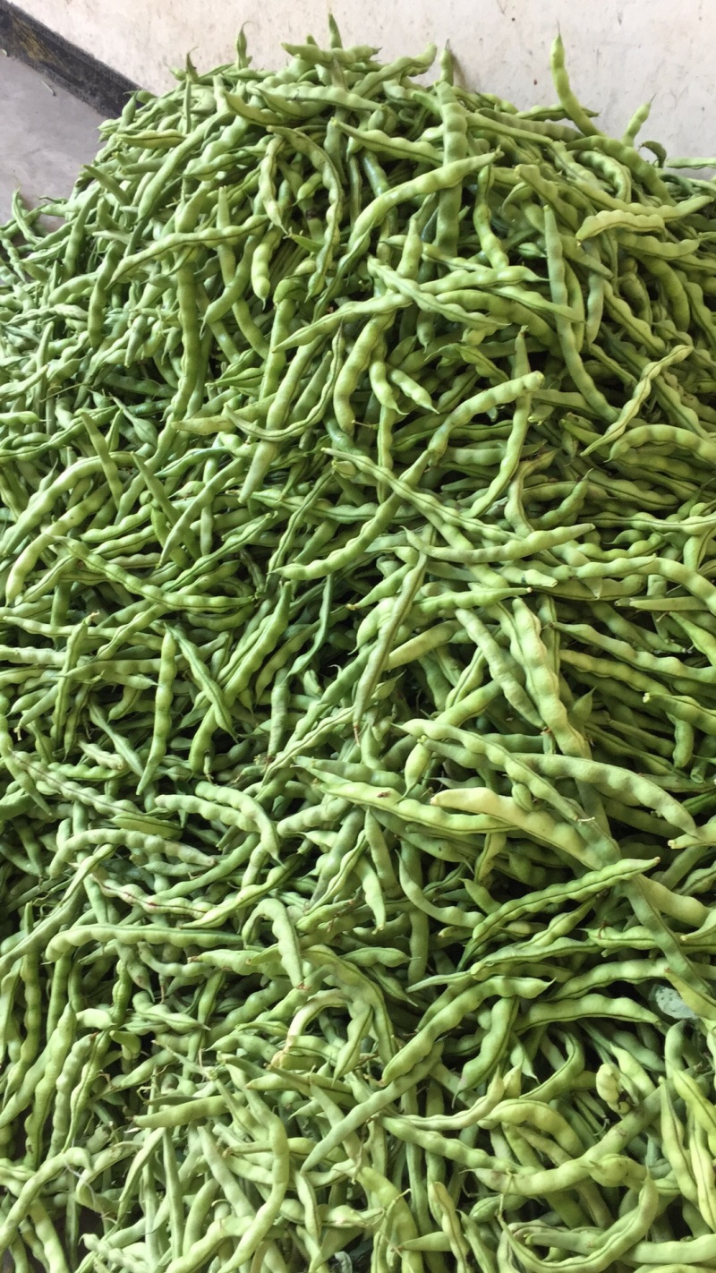 大青豆四月中旬大量上市，价格随行情，欢迎大家关注