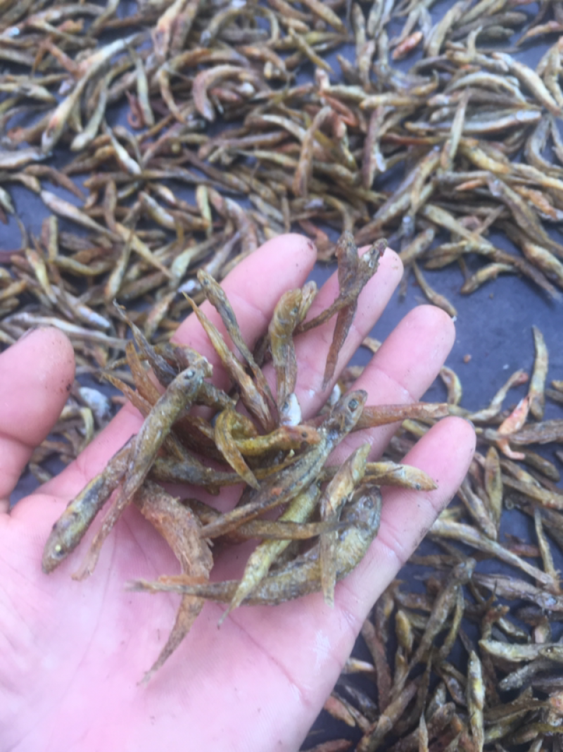 烤干小黄鱼