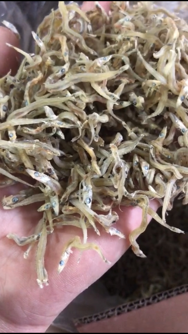 牙签鱼小鱼干