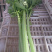 芹菜