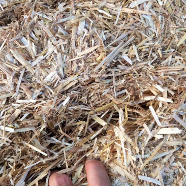 小麦秸秆