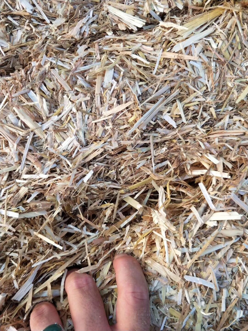 小麦秸秆