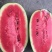 湖北黑美人西瓜（新超人）产地一手货源值得信赖