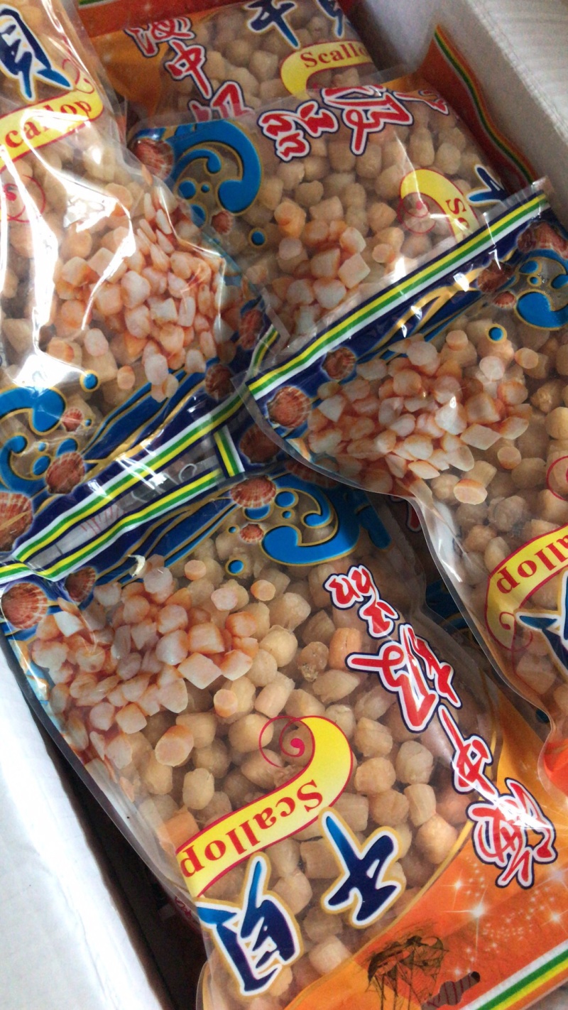 大粒扇贝丁