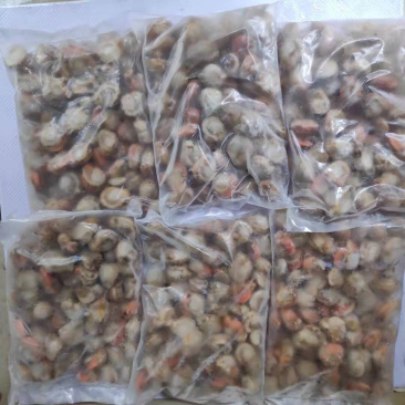 鲜冻扇贝肉皇冠贝毛贝元贝肉冷冻扇贝肉2斤/包10包/件