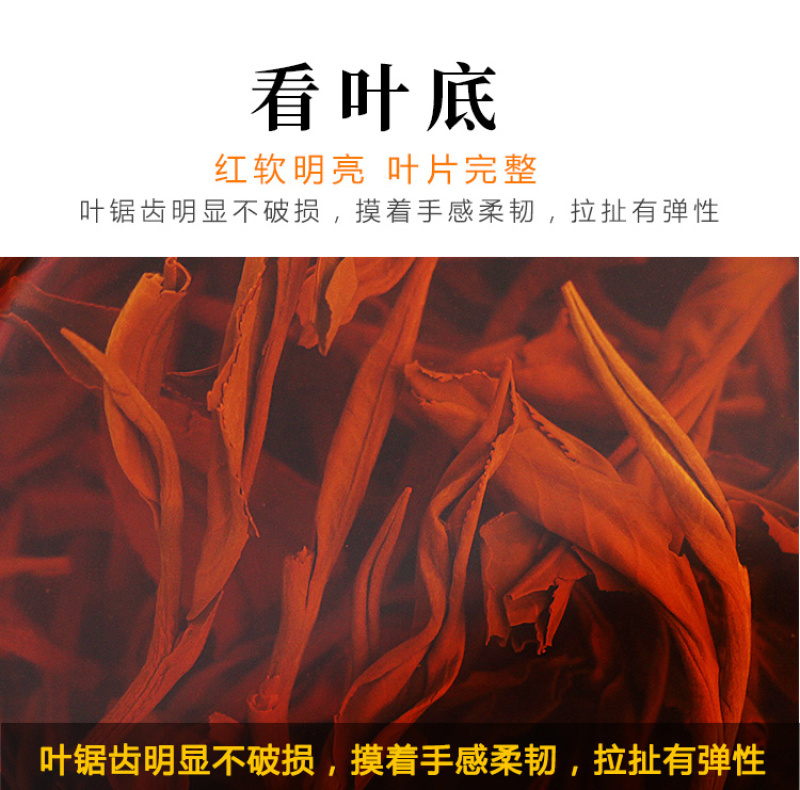 英德红茶之乡英红九号欢迎选购