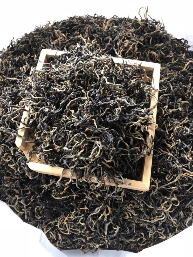 英德红茶之乡英红九号欢迎选购