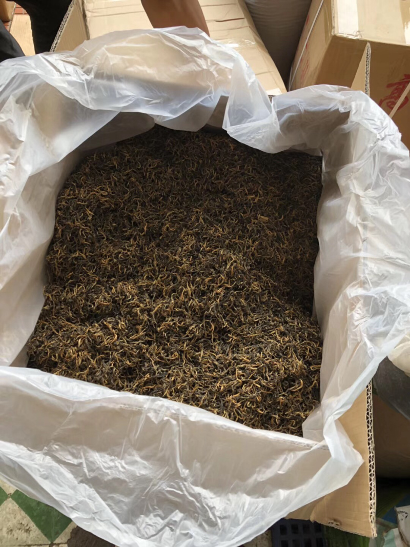 英德红茶之乡英红九号欢迎选购