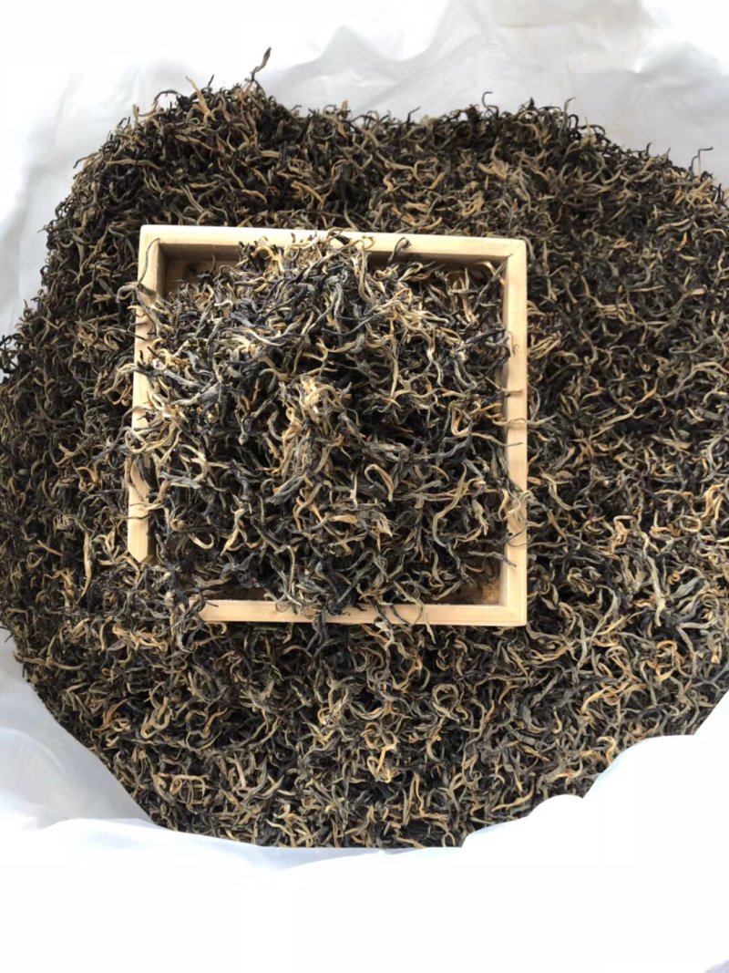 英德红茶之乡英红九号欢迎选购