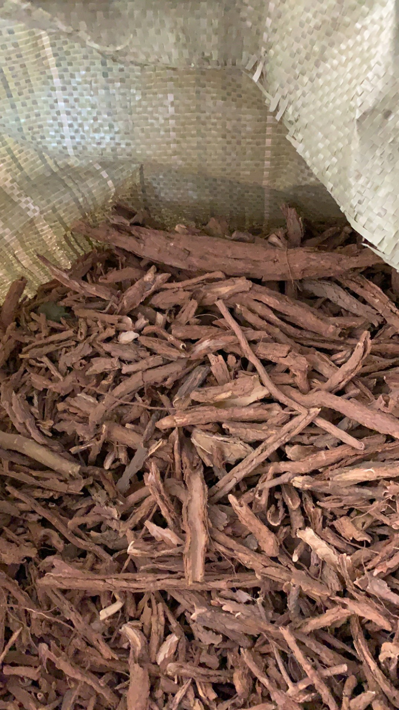 地骨皮
