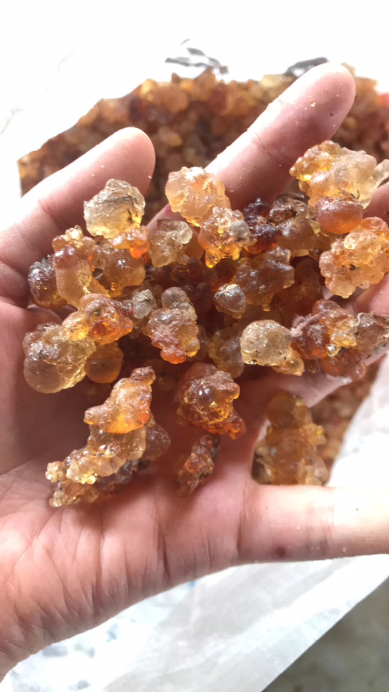 精品精修桃胶，简修，水洗颗粒大量批发，量大从优