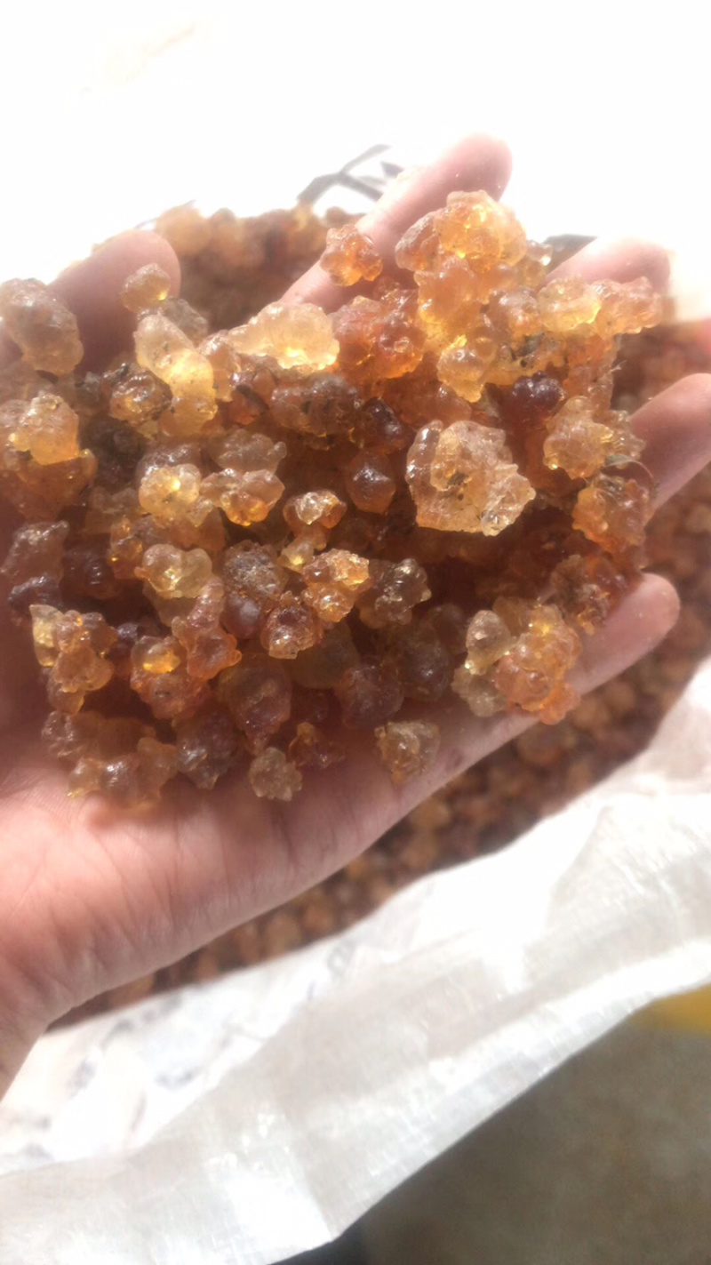 精品精修桃胶，简修，水洗颗粒大量批发，量大从优