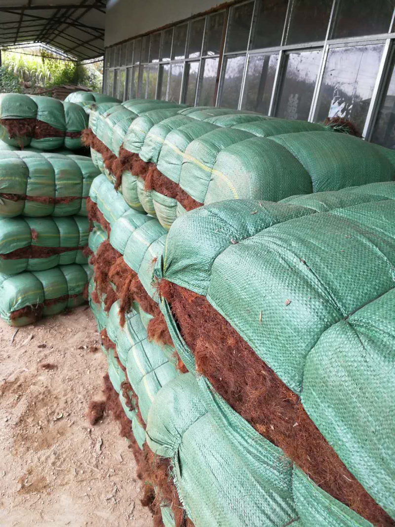 玉米须统货，机压包，散包都有