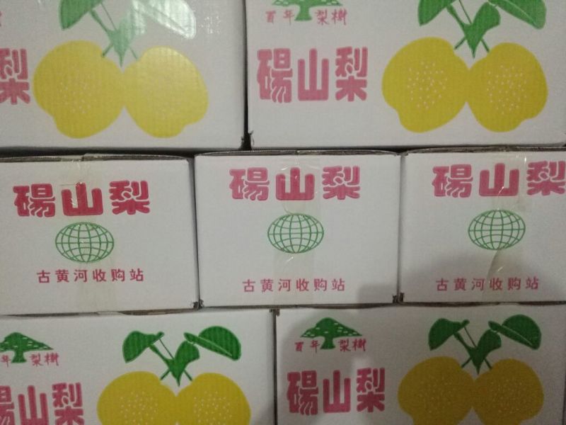 砀山梨300~350g纸箱