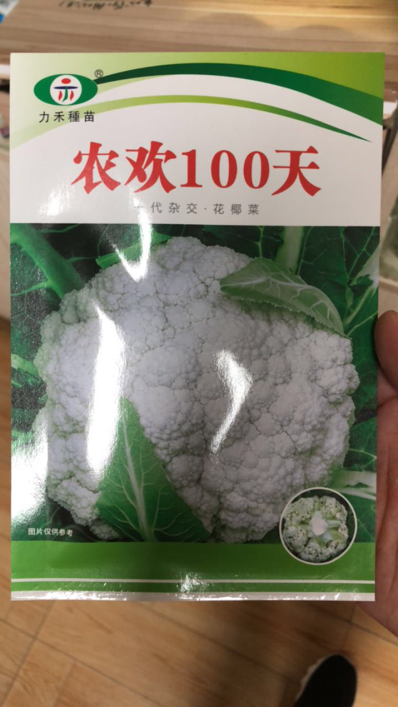 优质高产青梗松花菜种，梗青花白耐运输，小米粒