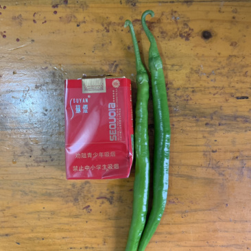 青线椒