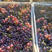 玻璃脆新疆葡萄…！是时候感受新疆水果了。净重2公斤