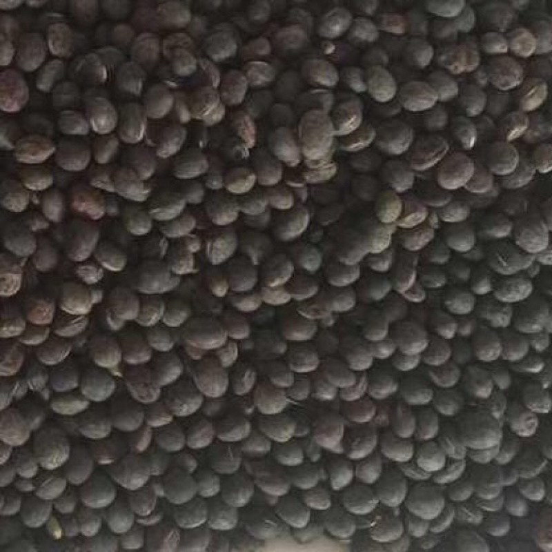 黑碗豆可适打凉粉做鸽粮干净过筛的