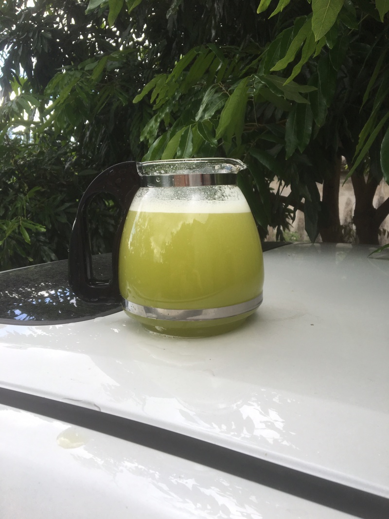 黄皮甘蔗榨汁优选水果甘蔗白甘蔗黄皮果蔗