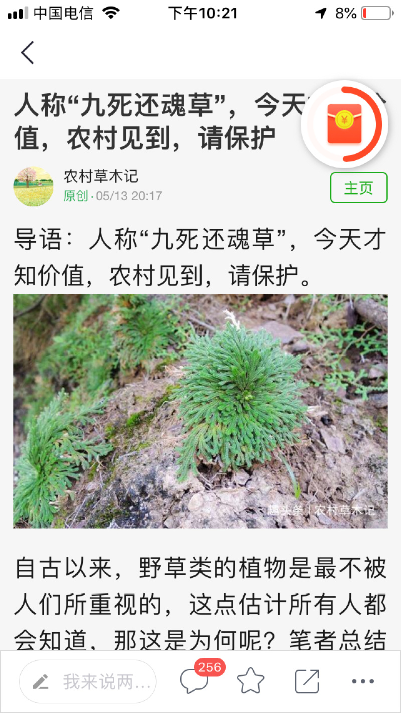 九死还魂草