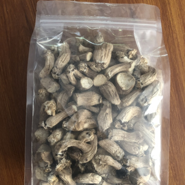 河北平泉优质单双剪香菇根
