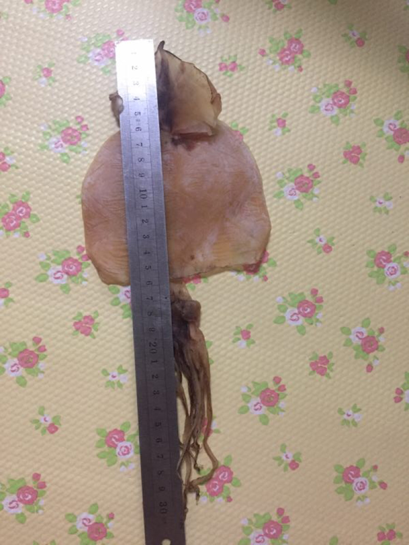 鱿鱼干