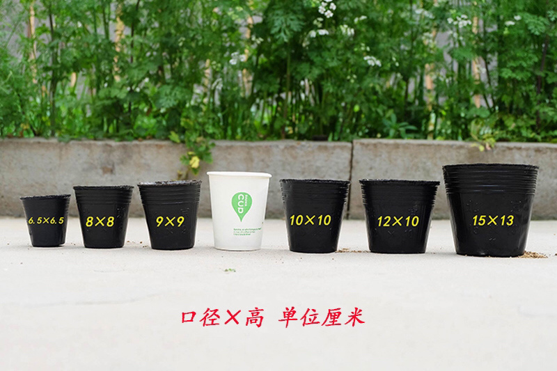 营养钵营养杯育苗盆育苗杯育苗花盆育苗钵河北厂家