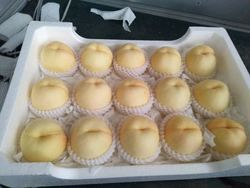 优质水蜜桃，蓬仙十三，汁多味美，速来采购啦