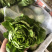 沙拉菜西菜牛油生菜奶油生菜波士顿奶油生菜