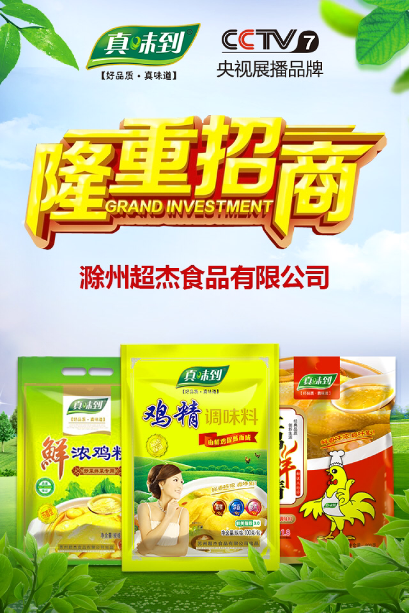 真味道鸡精，CCTV上榜品牌，全国招商