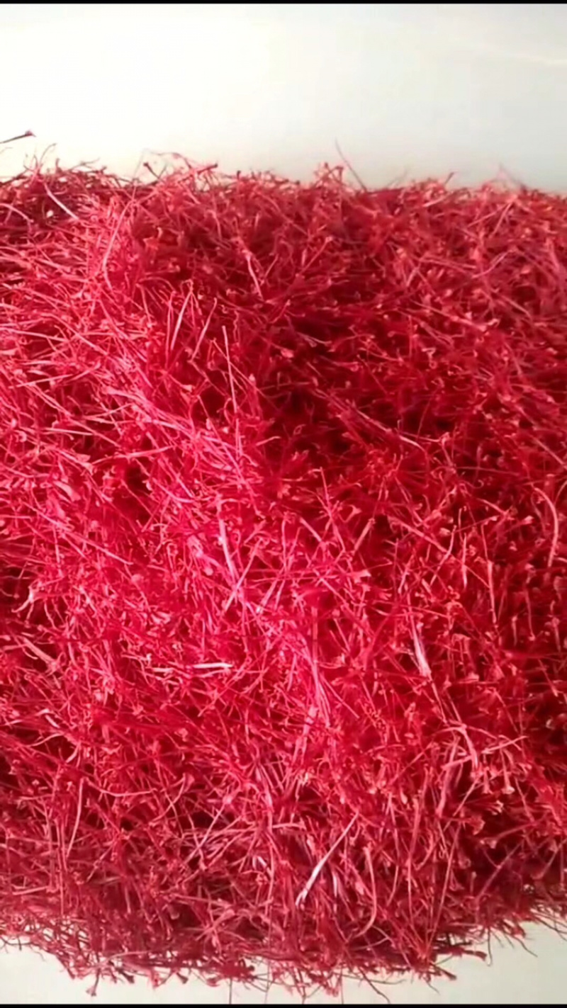 藏红花种球花丝量大从优