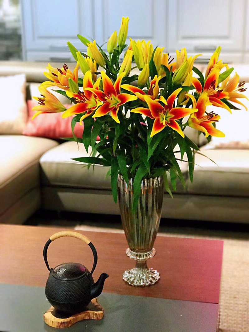 百合花庭园、花海种球观赏鲜切花种球批量包邮