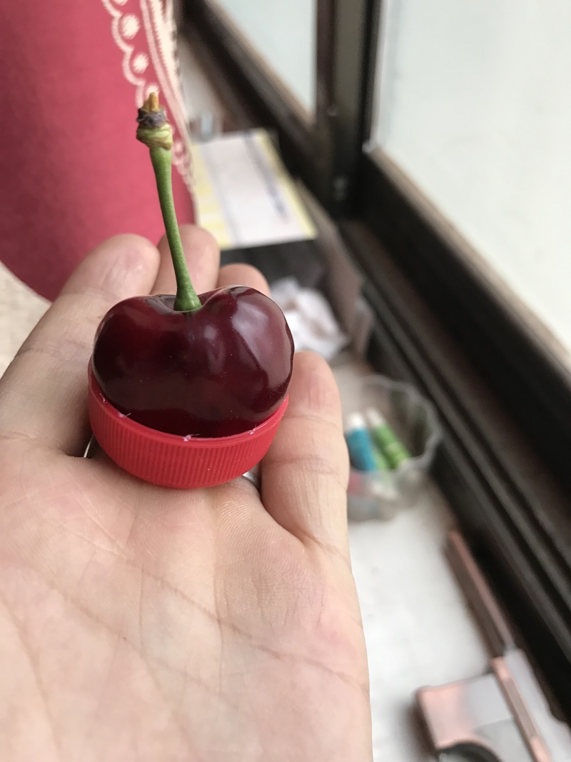 樱桃树苗一年成品苗早熟大樱桃树苗陕西早大果树苗