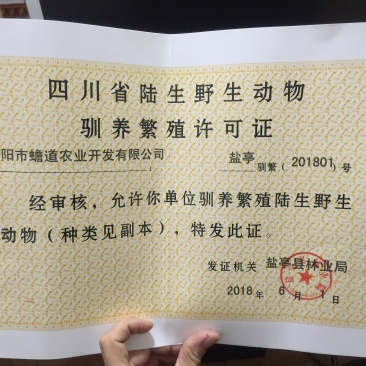 办理蟾蜍特种养殖证，养殖技术培训包回收