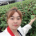 灯笼花藤蔓科四季常绿它象征吉祥如意，节日喜庆，不怕霜雪、