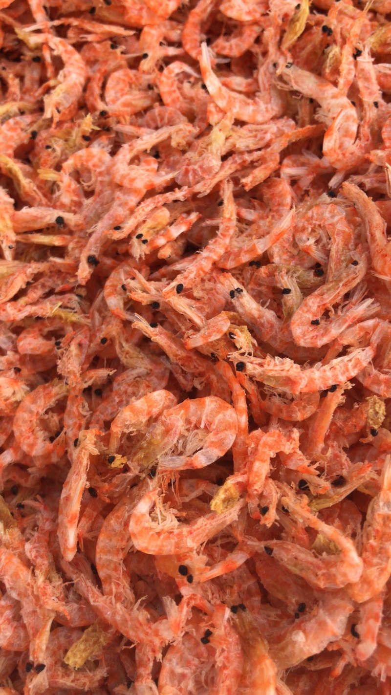 南极磷虾，磷虾，厂家直销，大量批发，一件代发