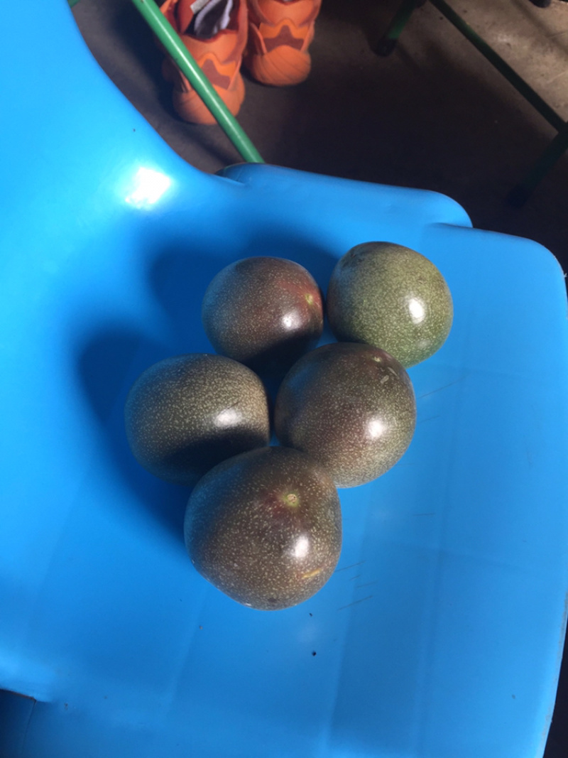 紫香百香果